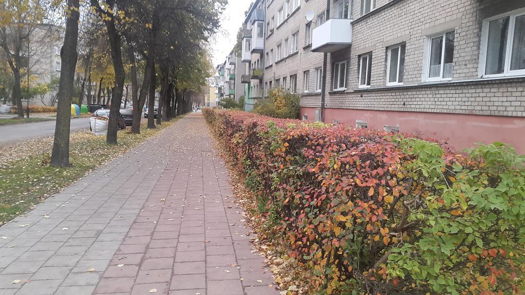 Apartment Dalyce Šiauliai Esterno foto
